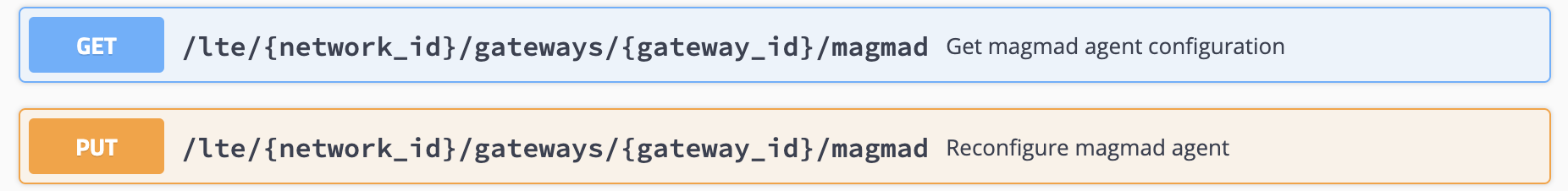API-LTE-Magmad-Config.png