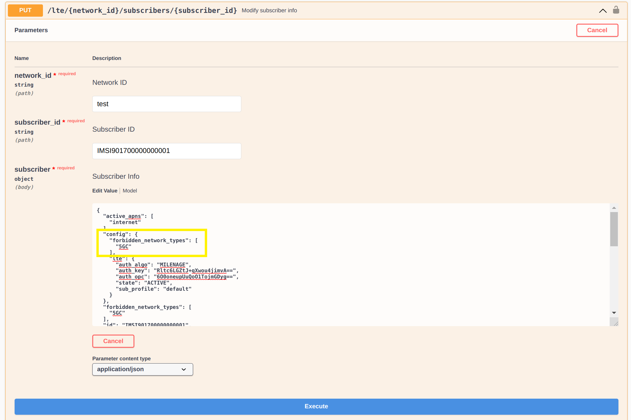 5G Core Network Type Restrictions 5G Core network Restriction